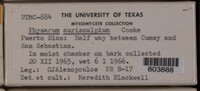 Image Associated With the Occurence